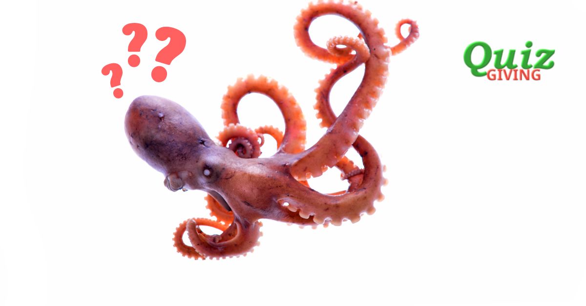 Quiz Giving - Science Quizzes - Embracing the Octo-Verse A Tentacled Quiz About Octopuses